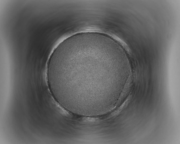X0000116421374200912081455