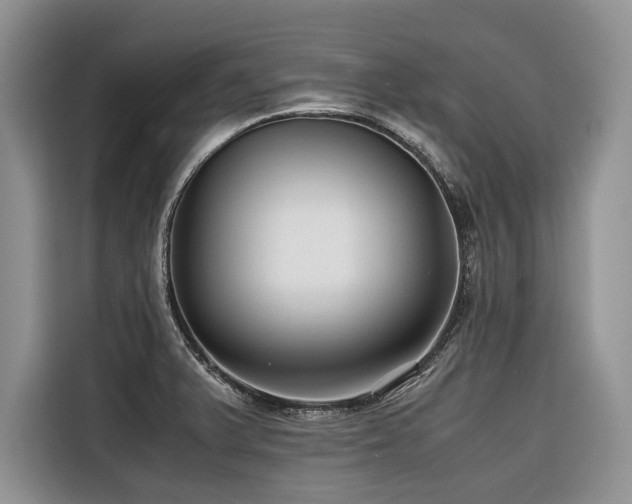 X0000116421375200912081455