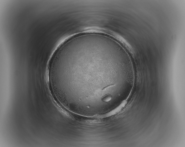 X0000116421376200912081455