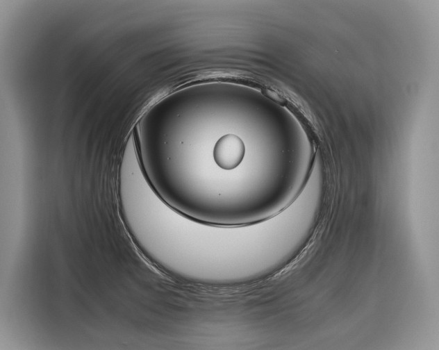 X0000116421377200912081455