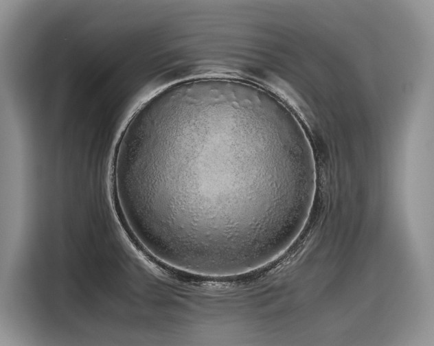 X0000116421379200912081455