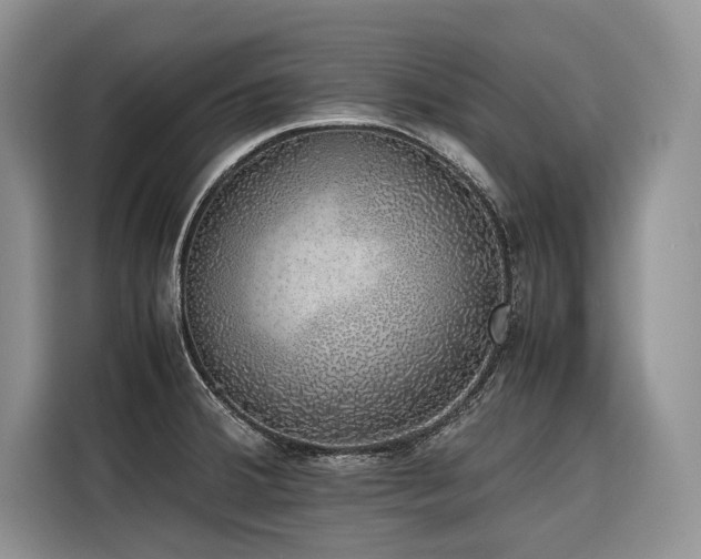 X0000116421380200912081455
