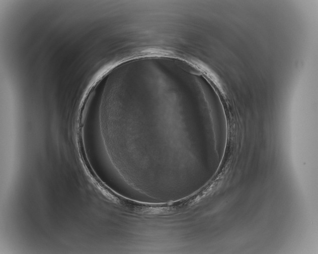 X0000116421381200912081455