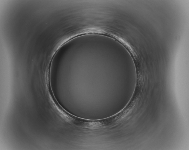 X0000116421383200912081455