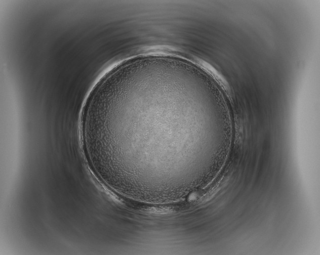 X0000116421384200912081455