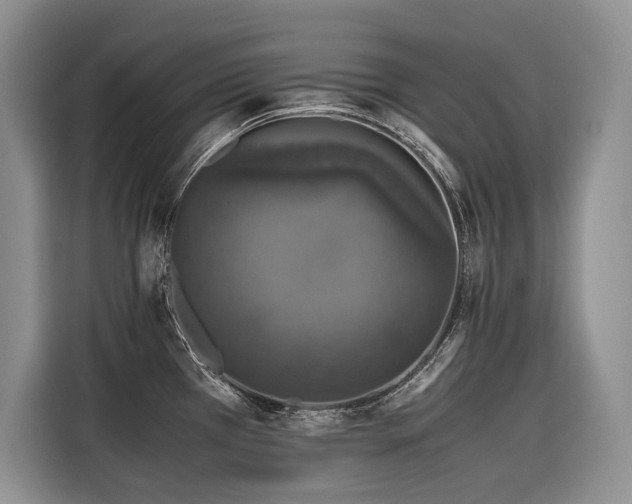 X0000116421385200912081455