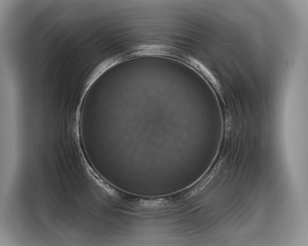 X0000116421386200912081455