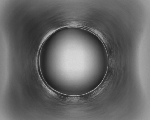 X0000116421387200912081455