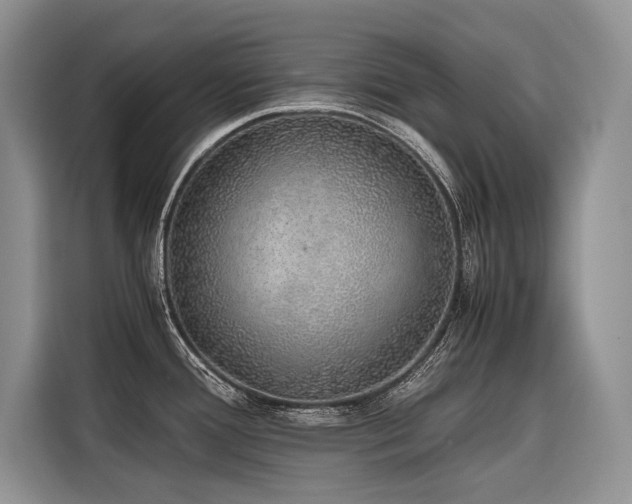 X0000116421388200912081455