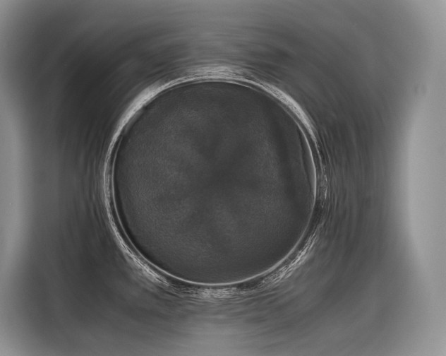 X0000116421389200912081455