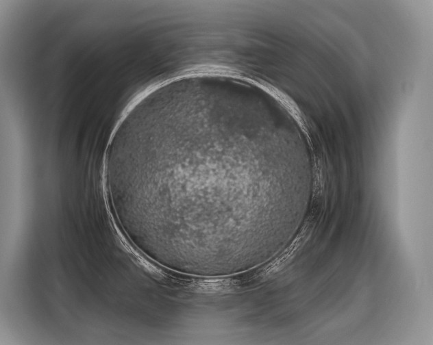 X0000116421390200912081455