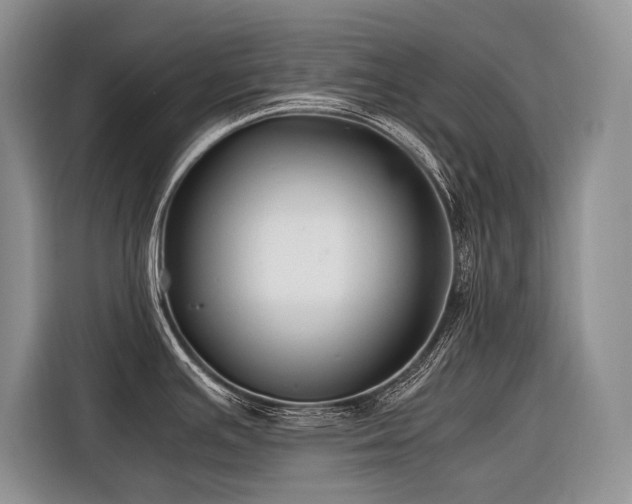 X0000116421391200912081455
