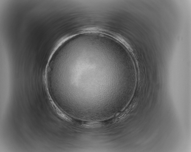 X0000116421392200912081455