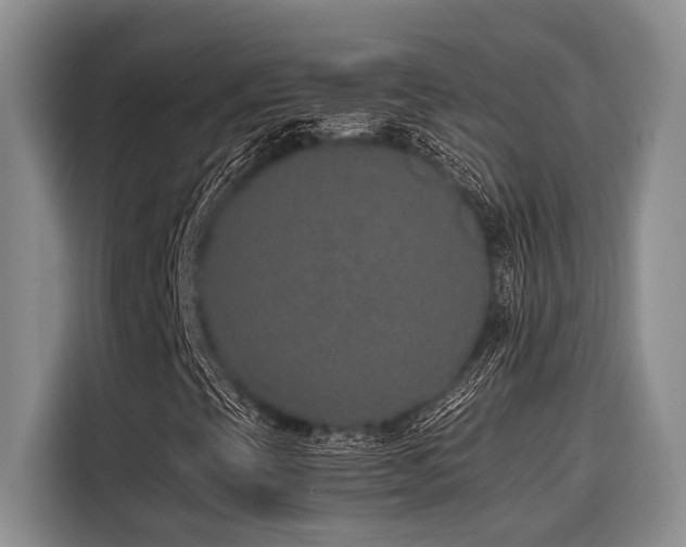 X0000116421393200912081454
