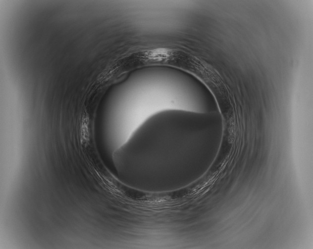 X0000116421394200912081454