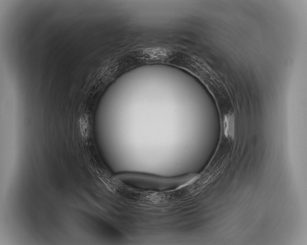 X0000116421395200912081454