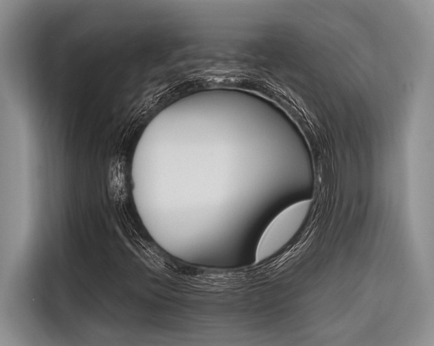 X0000116421396200912081454