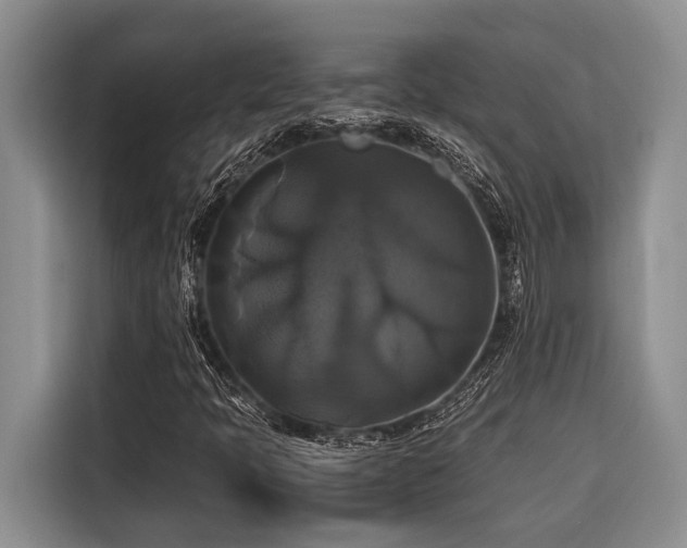 X0000116421397200912081454