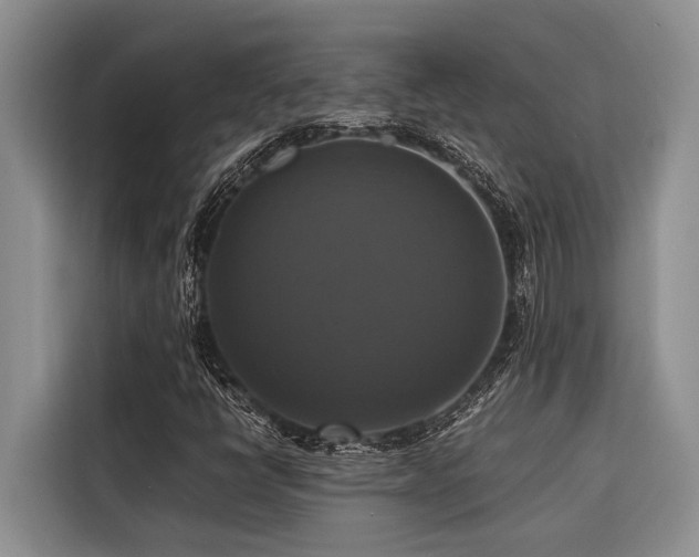 X0000116421398200912081454