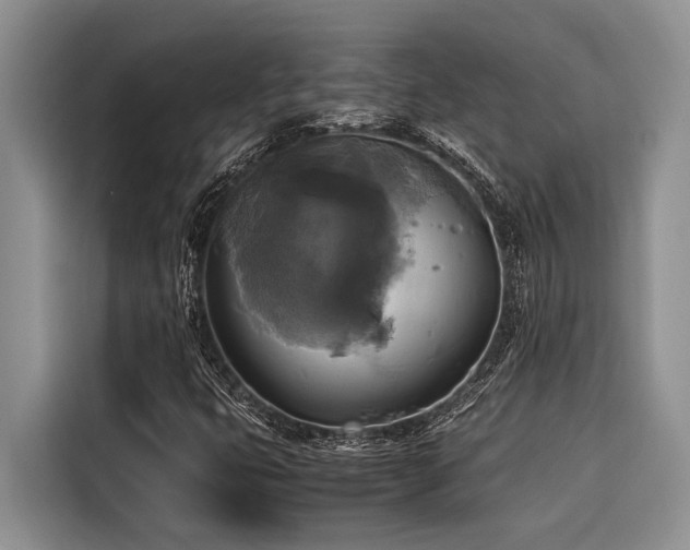 X0000116421399200912081454