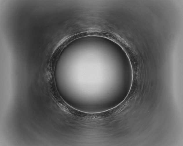 X0000116421400200912081455