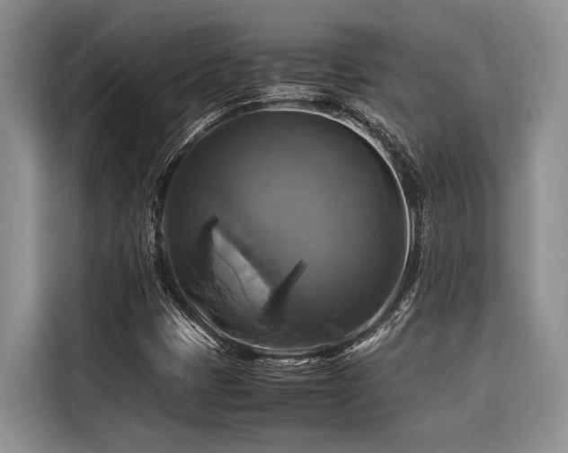 X0000116421401200912081455