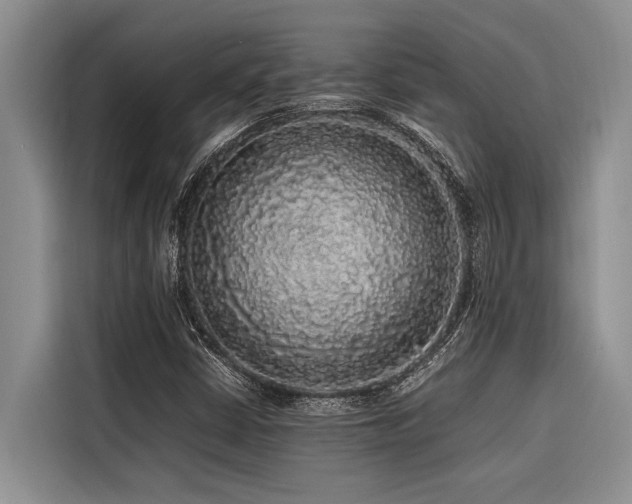 X0000116421402200912081455