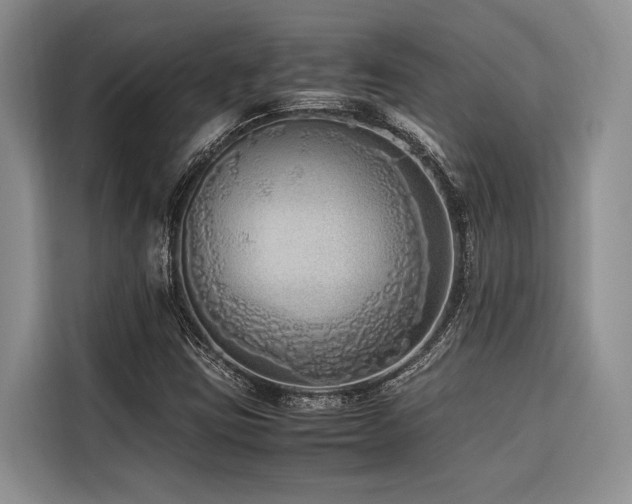 X0000116421403200912081455