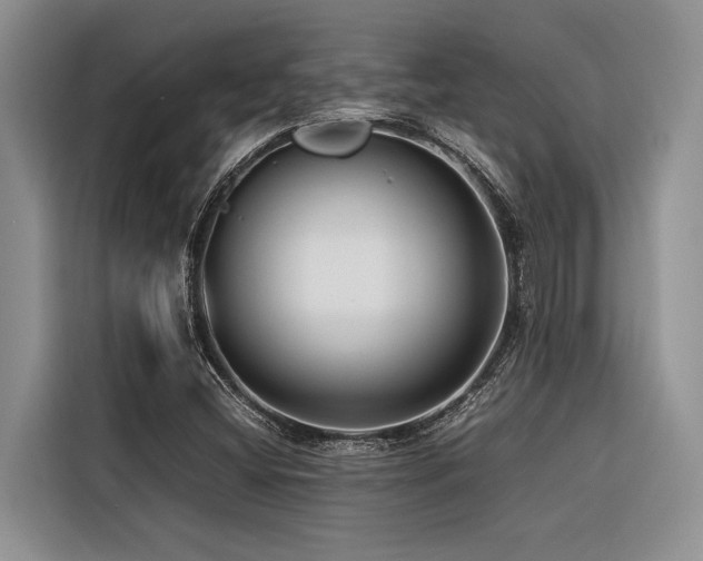 X0000116421404200912081455
