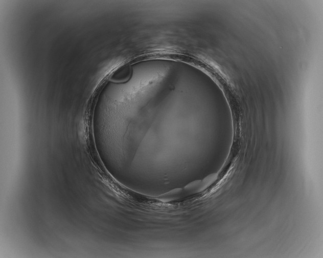 X0000116421405200912081455