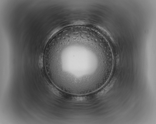 X0000116421409200912081455