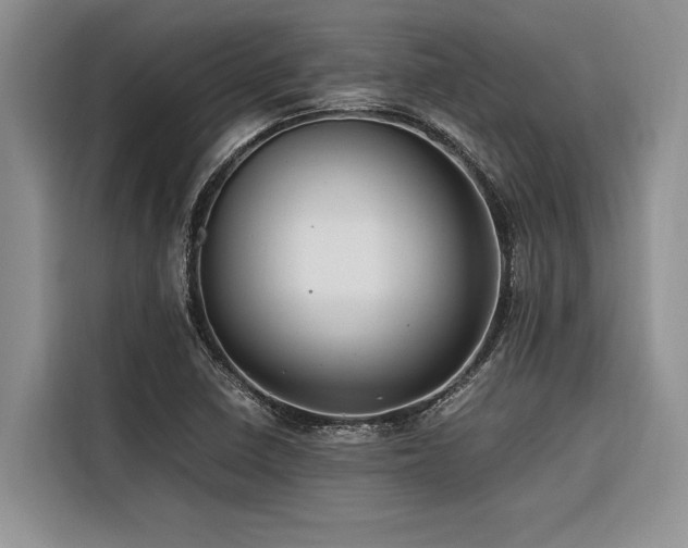 X0000116421410200912081455