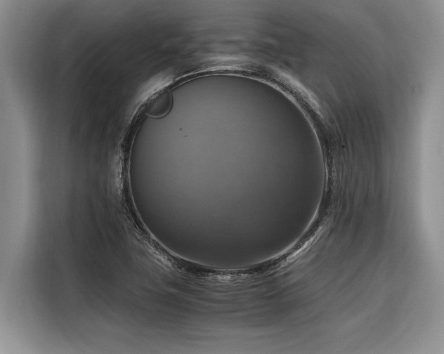 X0000116421411200912081455