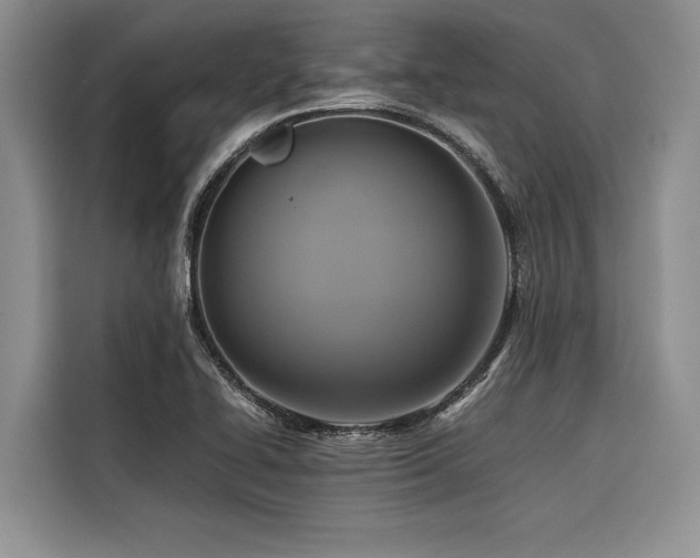 X0000116421414200912081455