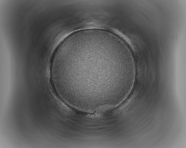 X0000116421415200912081455