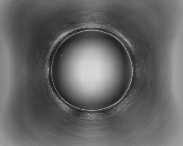 X0000116421416200912081455
