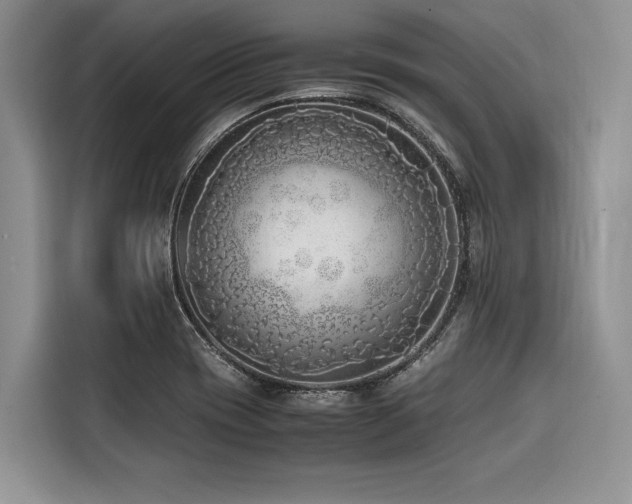 X0000116421417200912081455