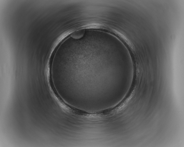 X0000116421418200912081455