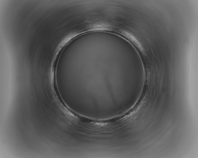 X0000116421419200912081455