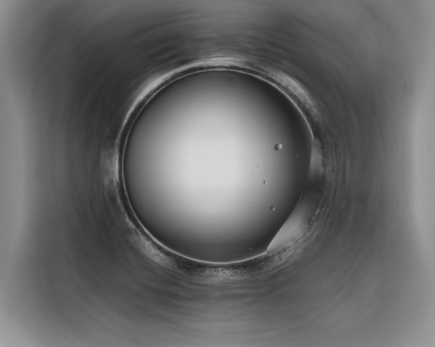X0000116421420200912081455