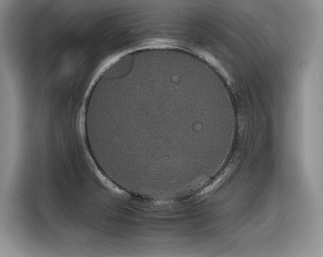 X0000116421421200912081455