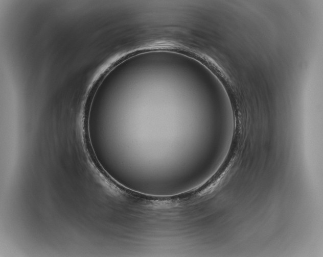 X0000116421422200912081455