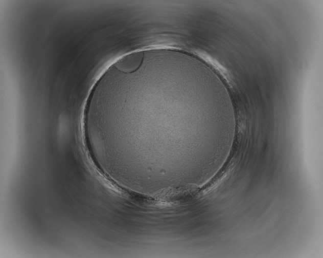 X0000116421423200912081455