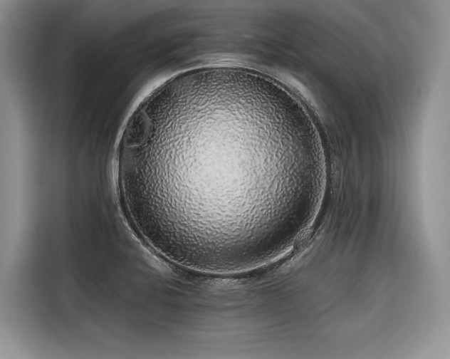 X0000116421424200912081455