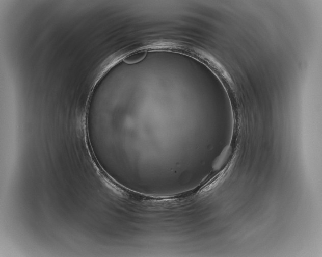 X0000116421425200912081455