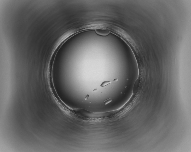 X0000116421426200912081455