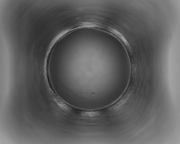 X0000116421427200912081455