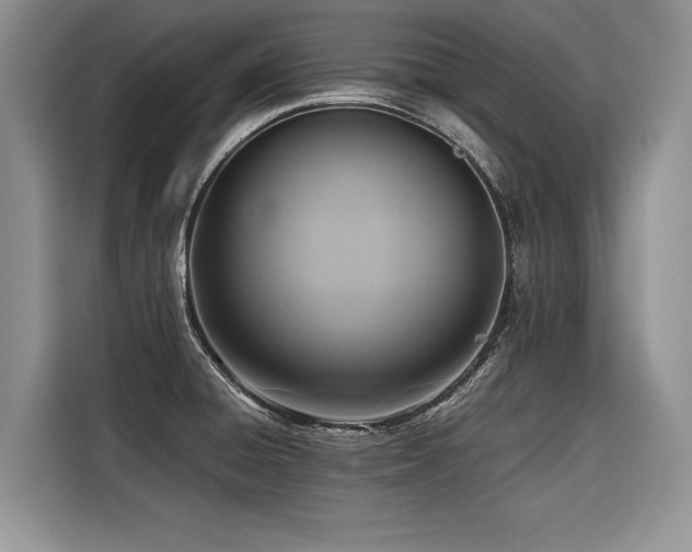 X0000116421428200912081455