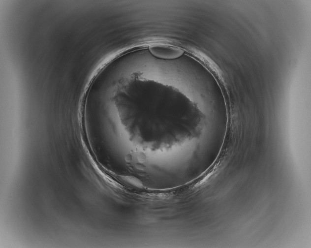 X0000116421429200912081455