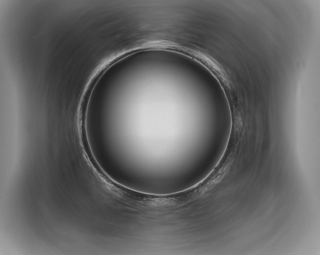 X0000116421430200912081455
